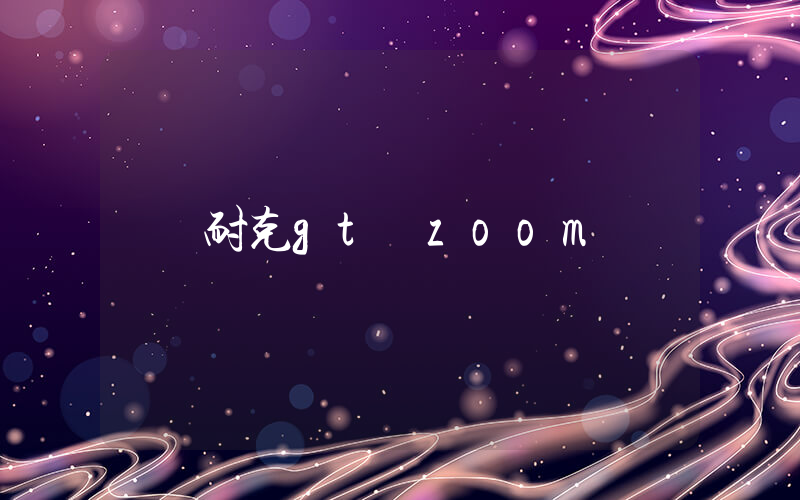 耐克gt zoom插图